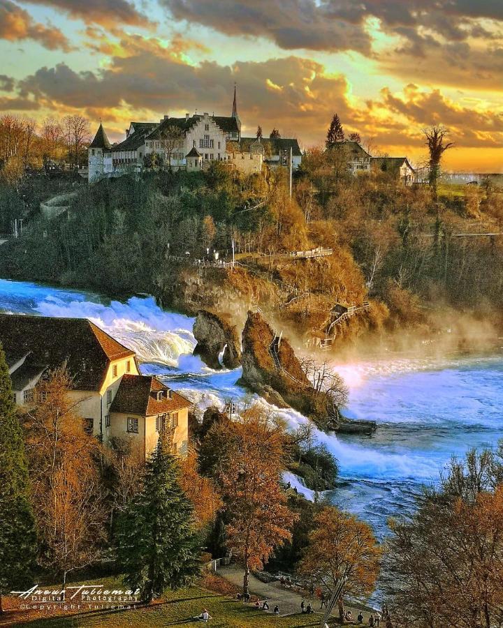 Fewo Near Rheinfall Jestetten Exteriör bild